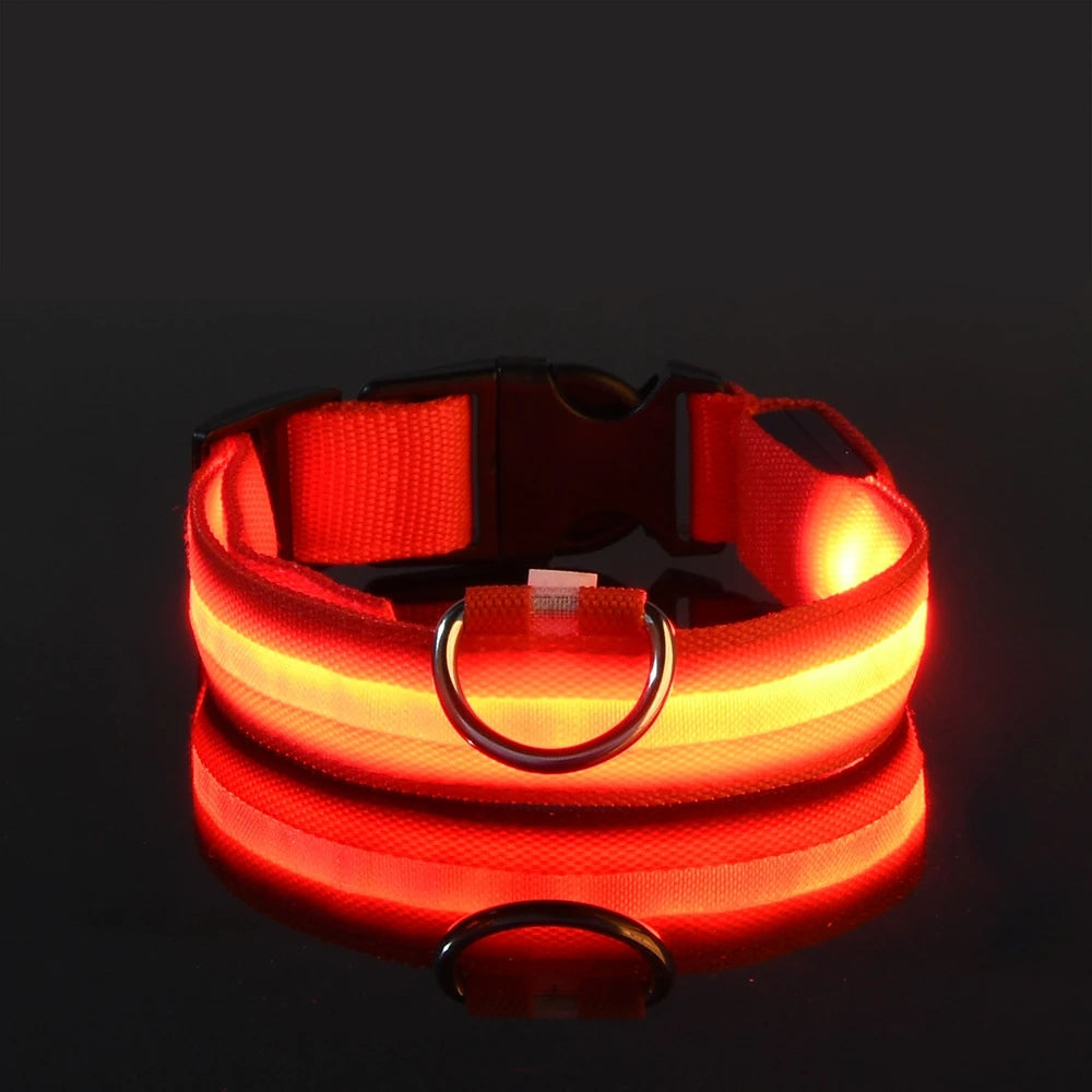 🐕✨ LED Glow Dog Collar – Flashing Safety Collar for Night Walks