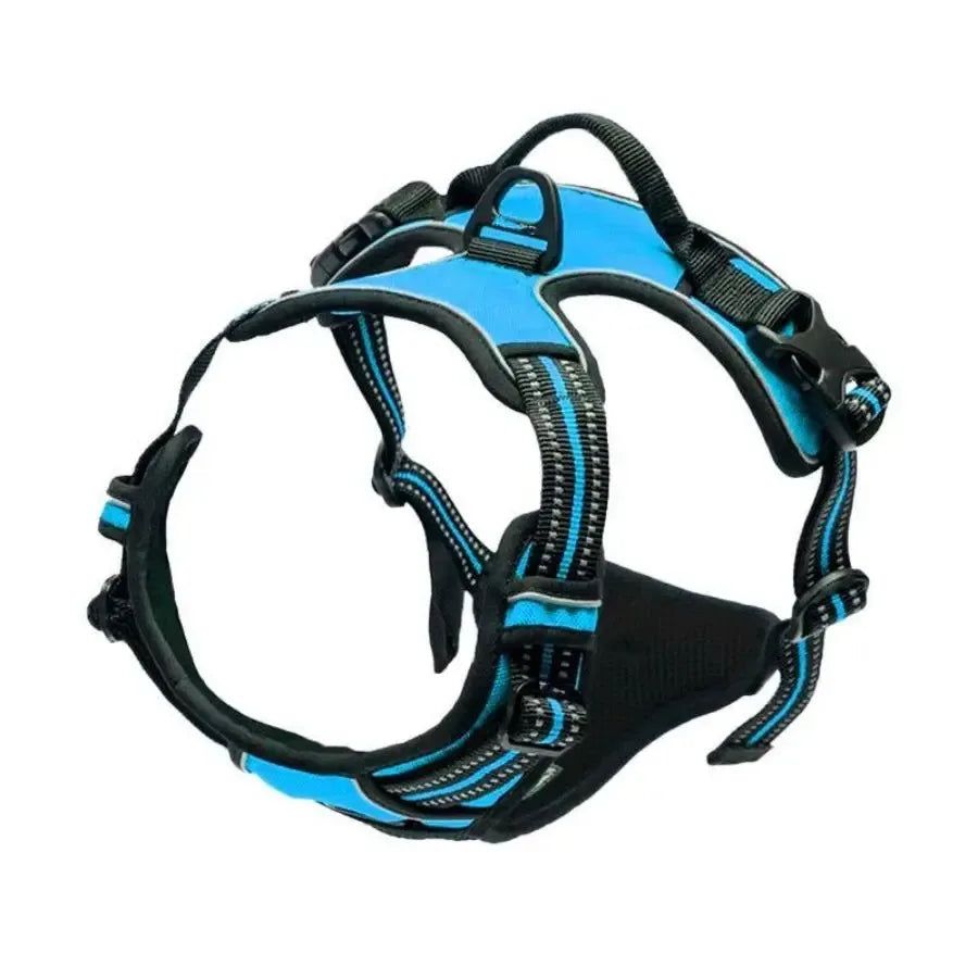 Pawfect Fit Dog Harness Vest & Collar Set 🐾