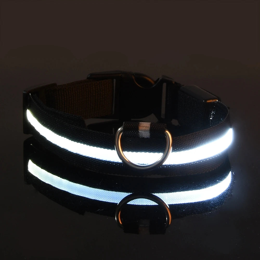 🐕✨ LED Glow Dog Collar – Flashing Safety Collar for Night Walks
