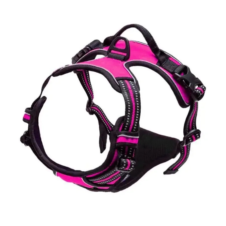 Pawfect Fit Dog Harness Vest & Collar Set 🐾