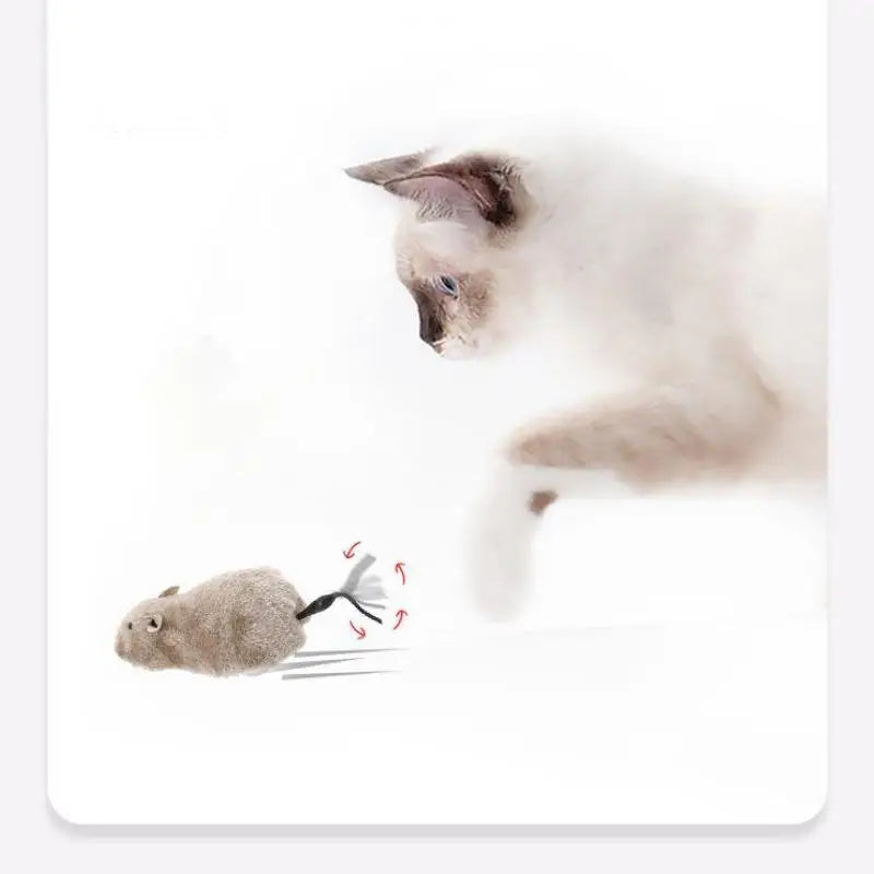 Wind-Up Runaway Mouse — The Cat Toy That Thinks It's Real! 🐭✨