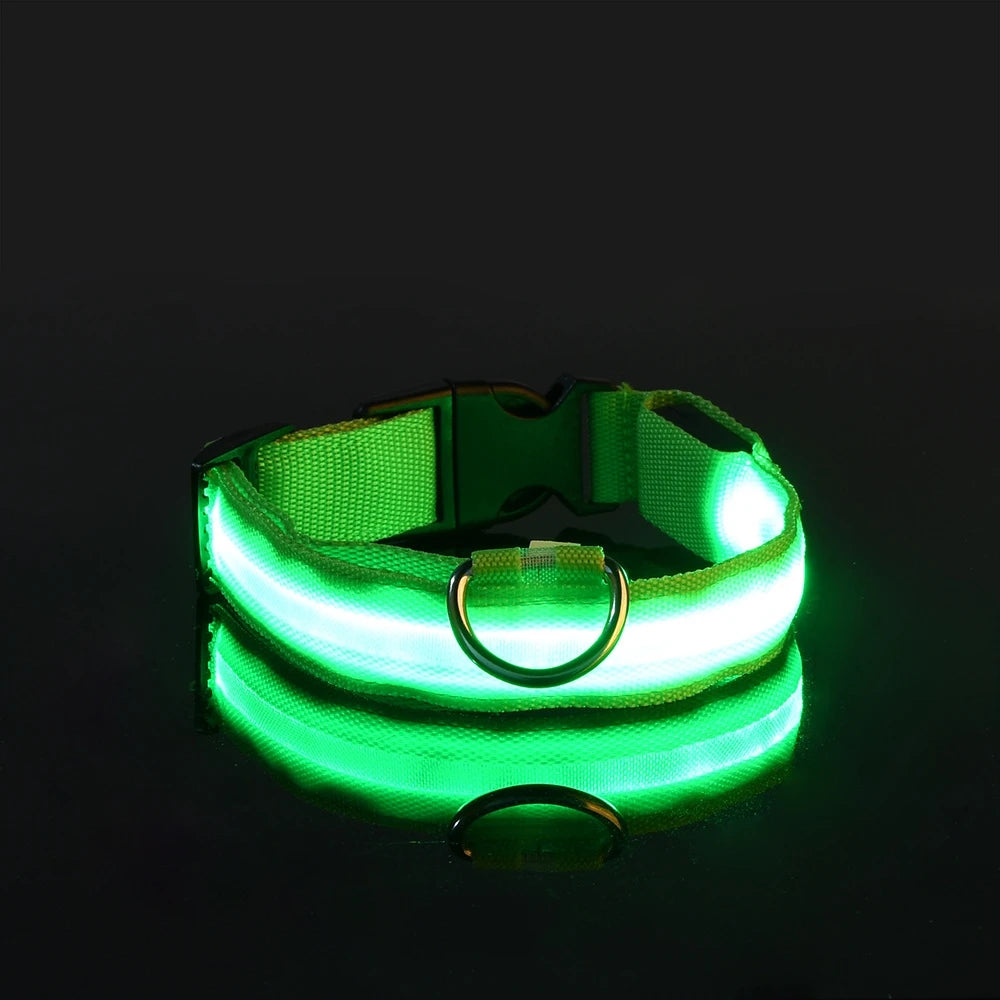 🐕✨ LED Glow Dog Collar – Flashing Safety Collar for Night Walks