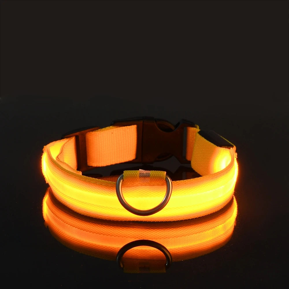 🐕✨ LED Glow Dog Collar – Flashing Safety Collar for Night Walks