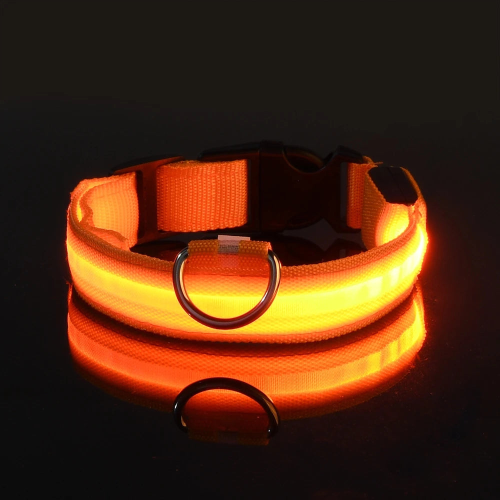 🐕✨ LED Glow Dog Collar – Flashing Safety Collar for Night Walks