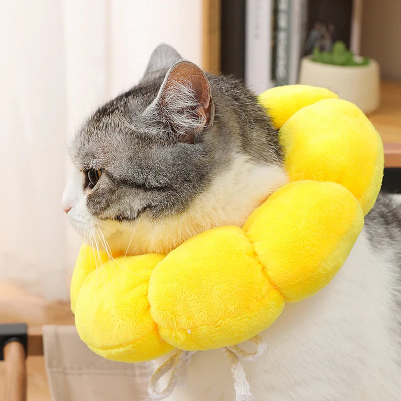Sunflower Recovery Collar for Cats & Dogs 🌻