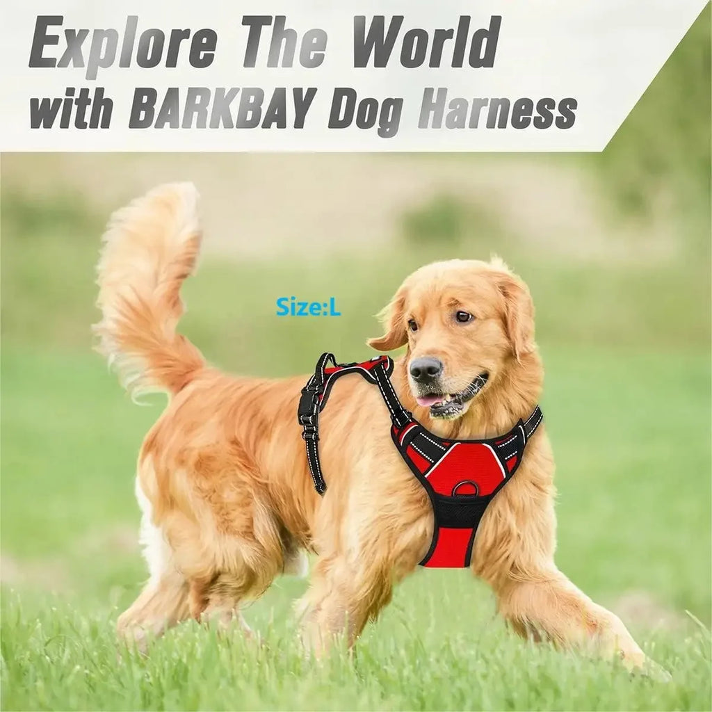 Pawfect Fit Dog Harness Vest & Collar Set 🐾