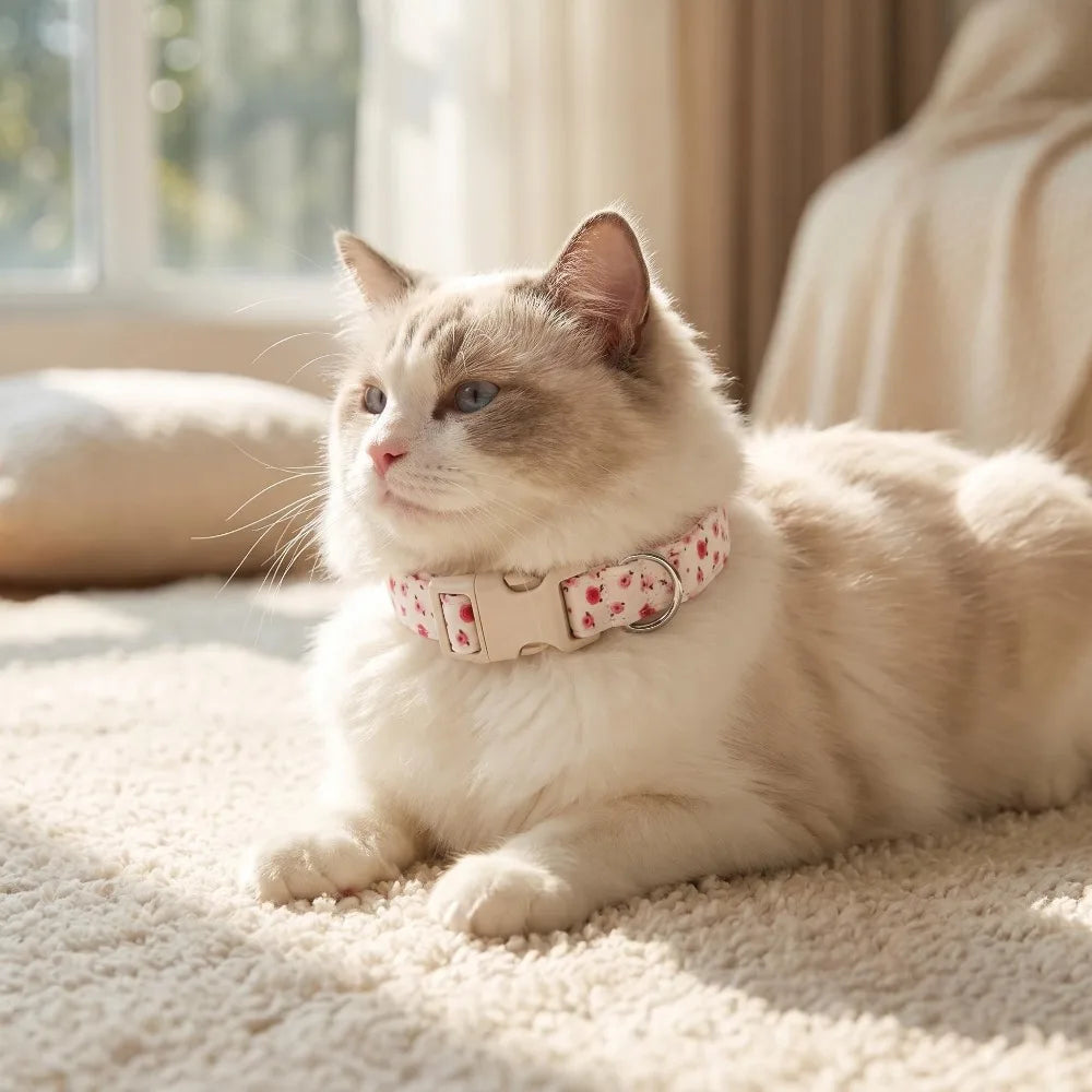 Blooming Paws Floral Pet Collar 🌸