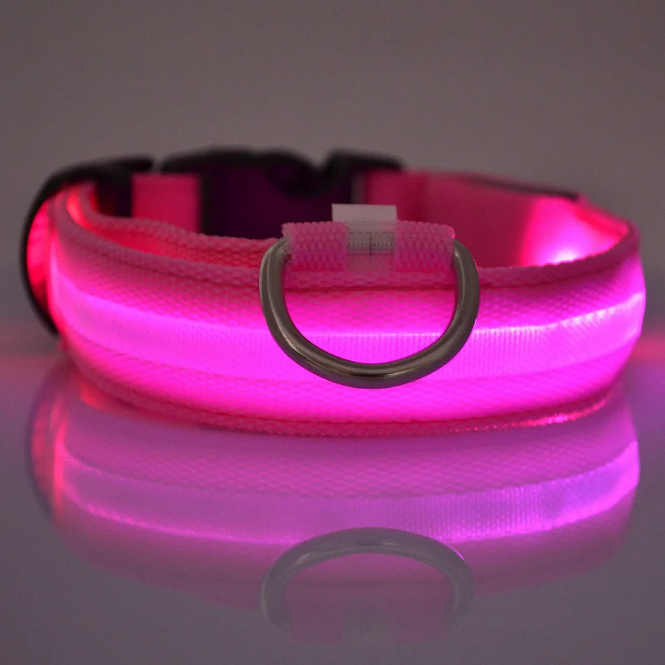 🐕✨ LED Glow Dog Collar – Flashing Safety Collar for Night Walks