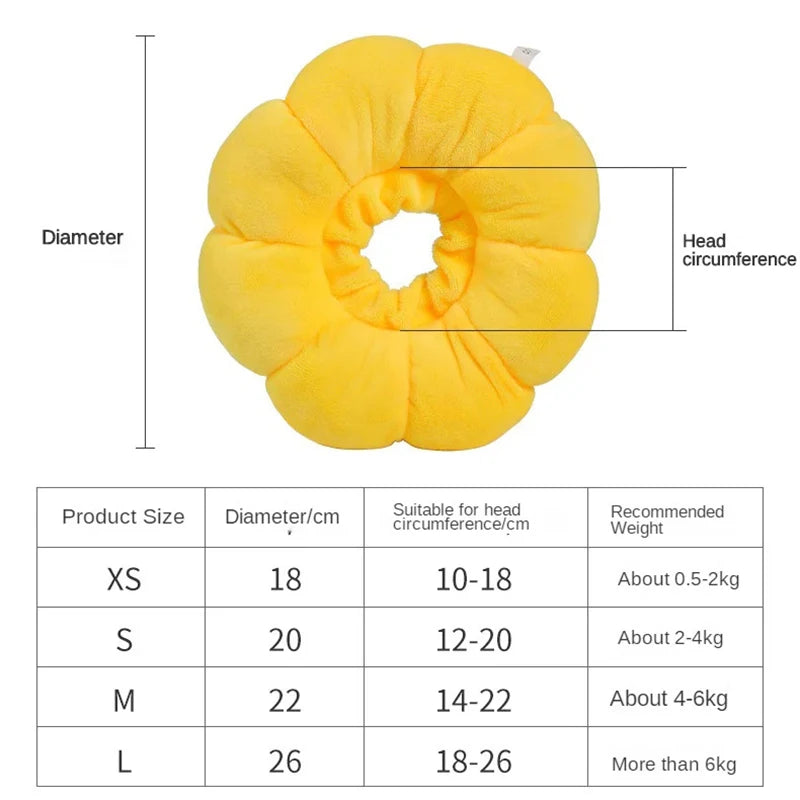 Sunflower Recovery Collar for Cats & Dogs 🌻