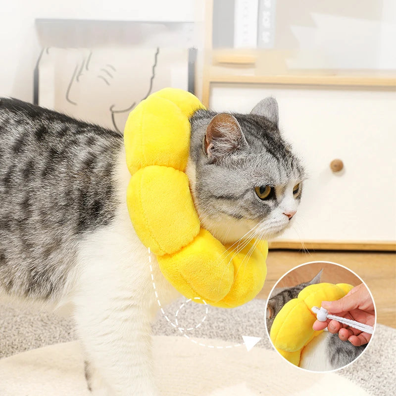 Sunflower Recovery Collar for Cats & Dogs 🌻