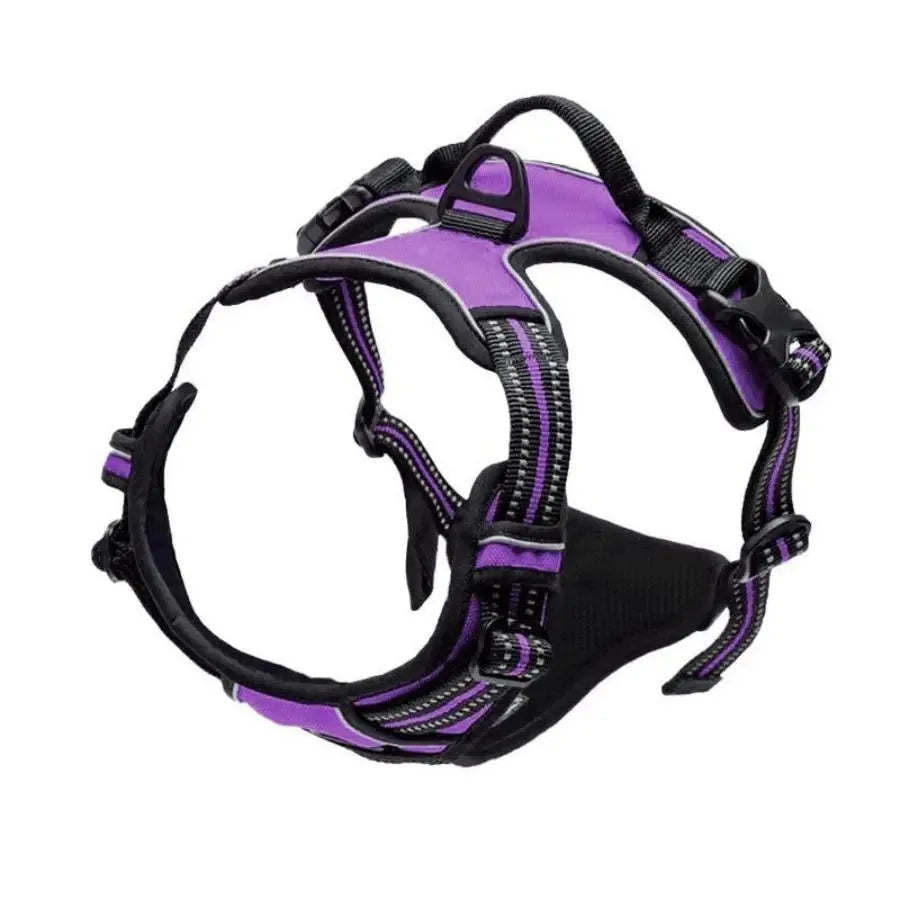 Pawfect Fit Dog Harness Vest & Collar Set 🐾