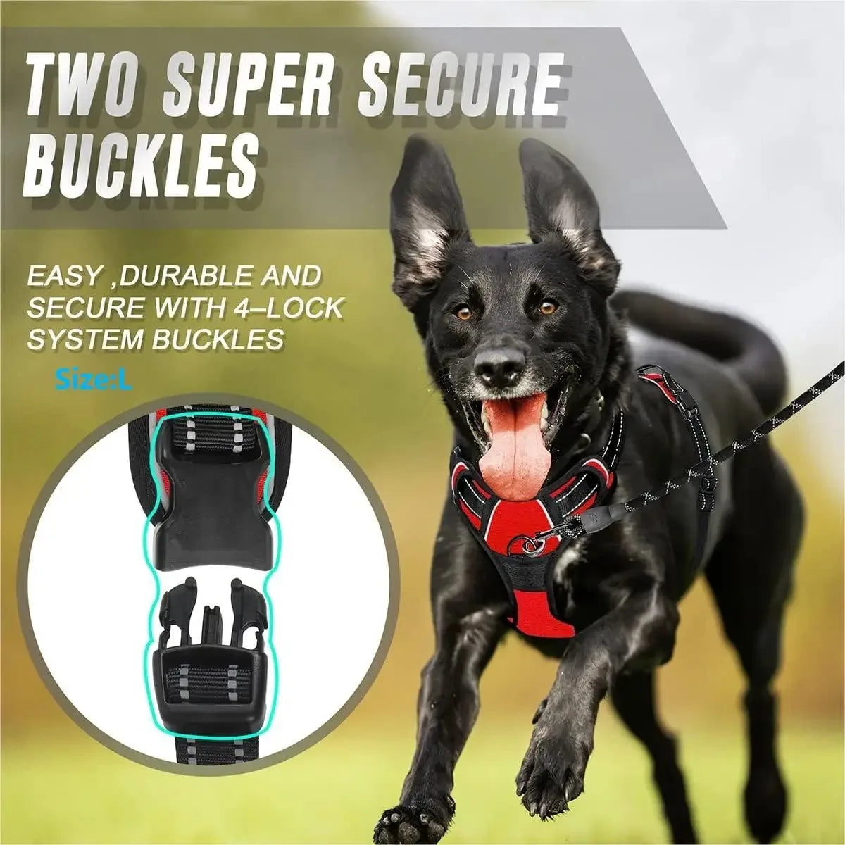 Pawfect Fit Dog Harness Vest & Collar Set 🐾