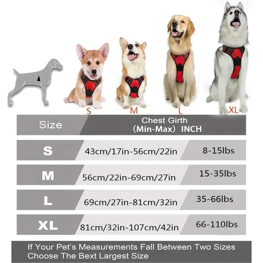 Pawfect Fit Dog Harness Vest & Collar Set 🐾