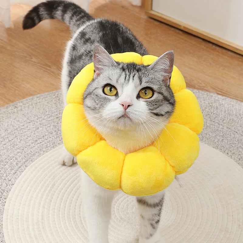 Sunflower Recovery Collar for Cats & Dogs 🌻