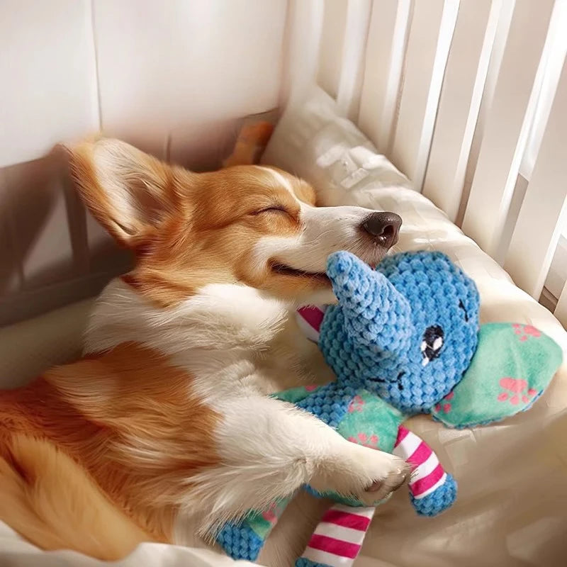 Squeaky Animal Plush Chew Toy 🐶🐘