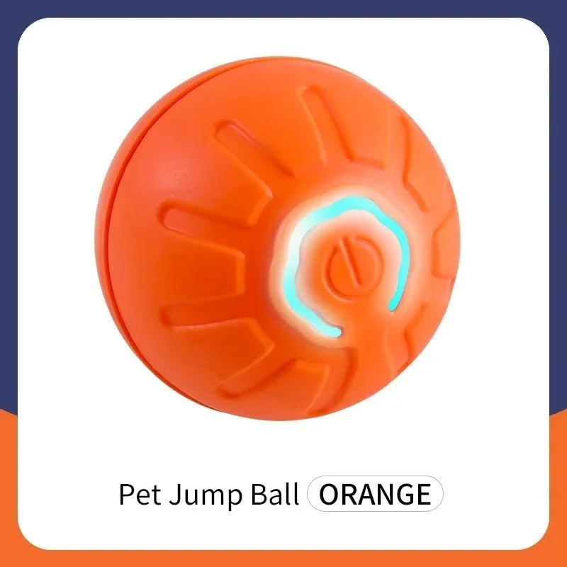 ✨ Rolly the Magic Ball – Interactive LED Pet Toy 🐾