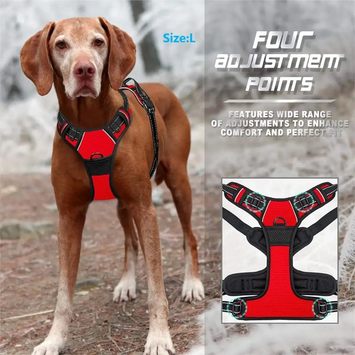 Pawfect Fit Dog Harness Vest & Collar Set 🐾