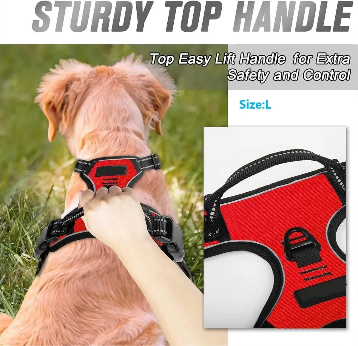 Pawfect Fit Dog Harness Vest & Collar Set 🐾